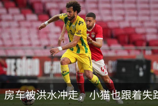 房车被洪水冲走，小猫也跟着失踪，8天后它突然回家了，全家人都哭了